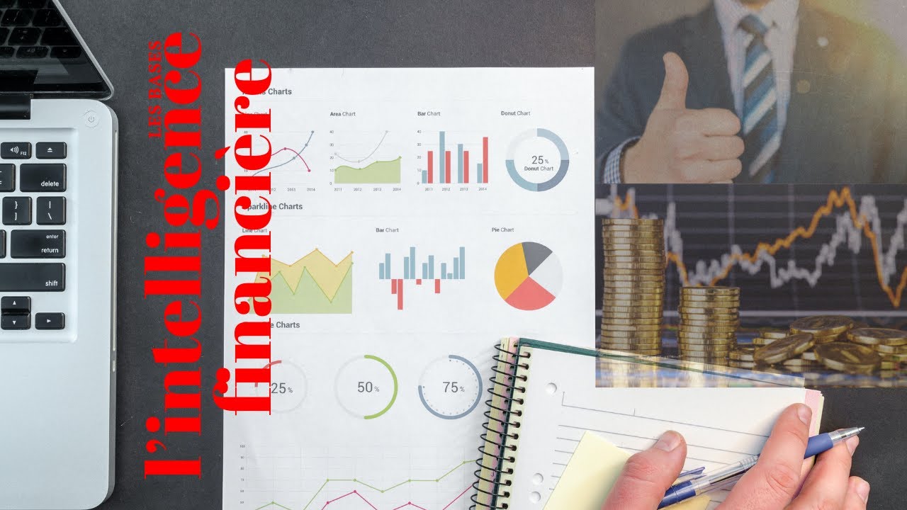 L'INTELLIGENCE FINANCIERE - LES BASES