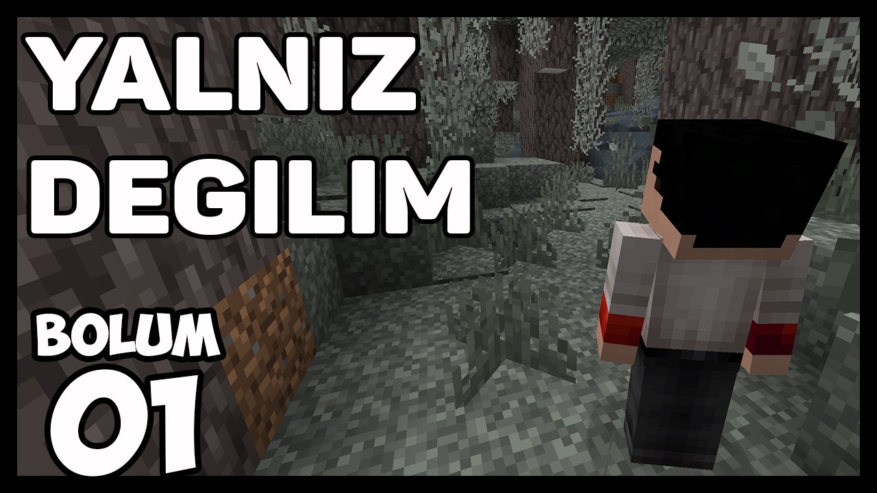 Bu Dünyada Yalnız Değilim… | Minecraft Bitmeyen Seri #1