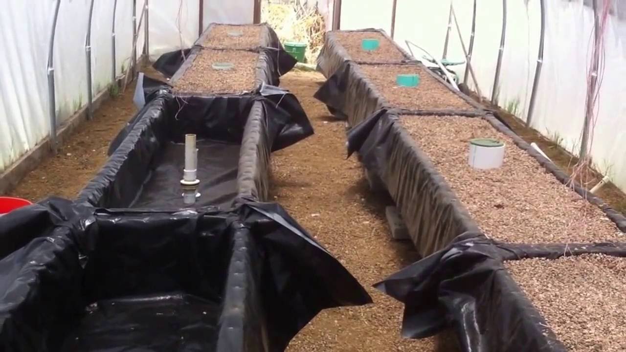 Sustainable farming setting up aquaponic gravel beds