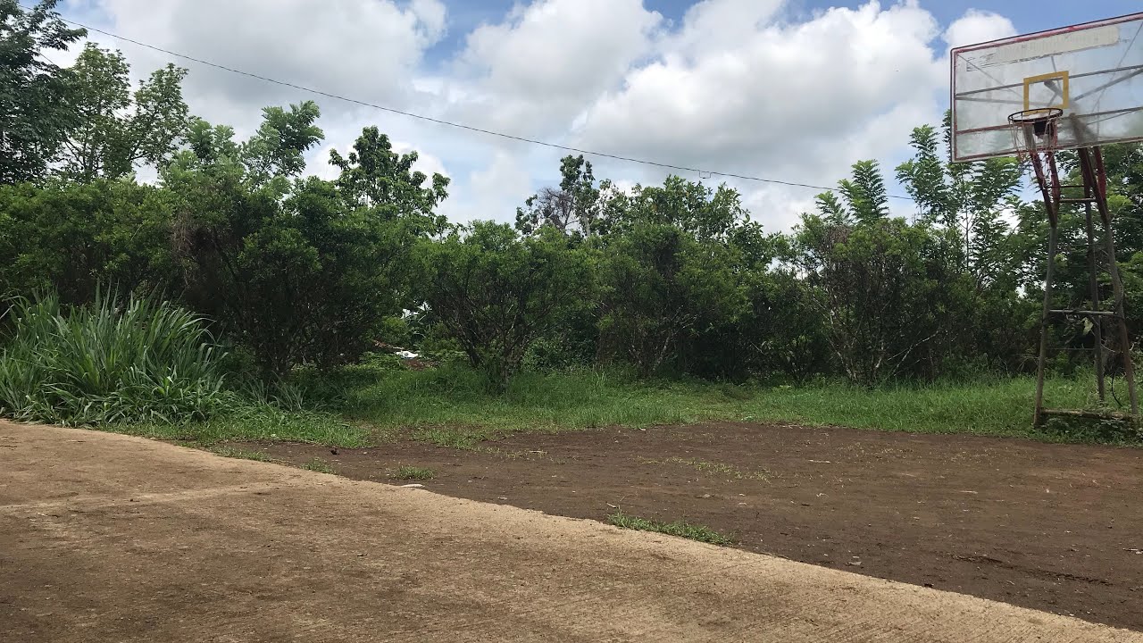 Vlog320: 5373 SQM FARM LOT  WITH MOUNTAIN VIEW FOR SALE IN LIPA CITY PHILIPPINES