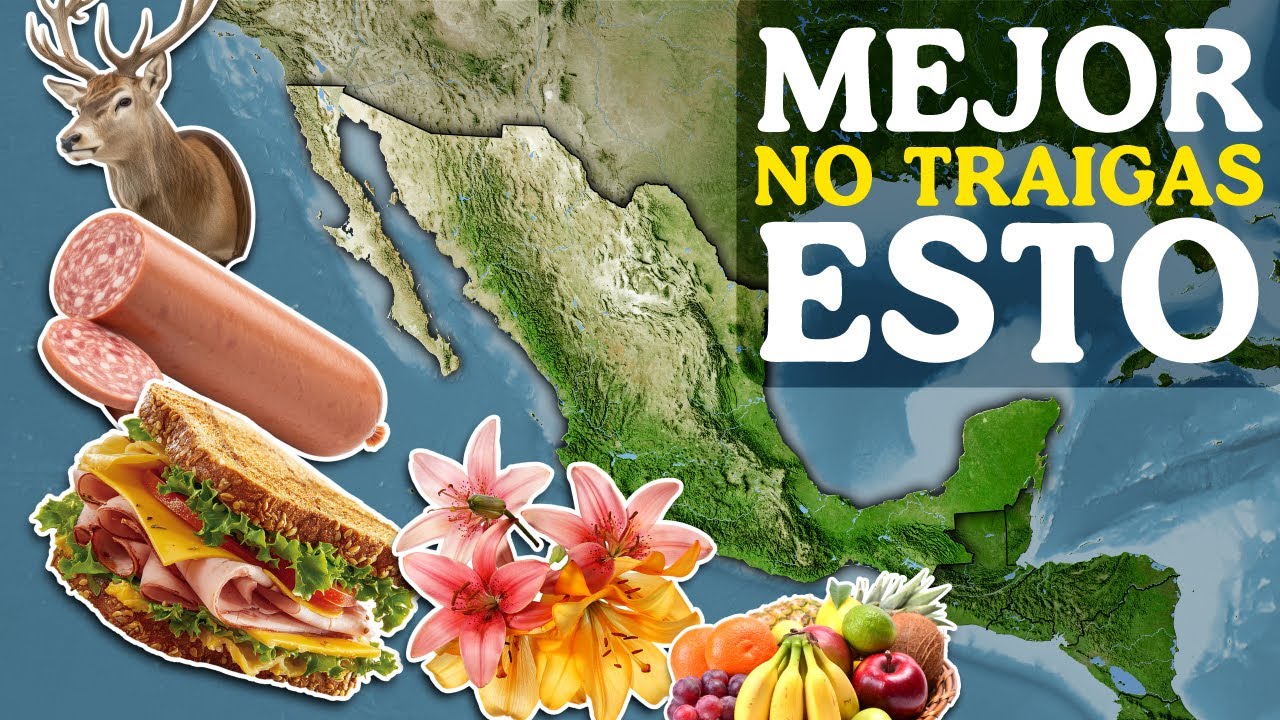 Cosas que no debes traer contigo si viajas a México ✋🙅‍♂️