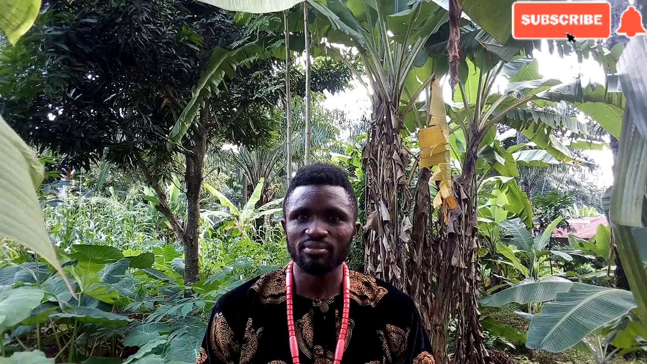 The most appropriate way to greet Igbo gathering