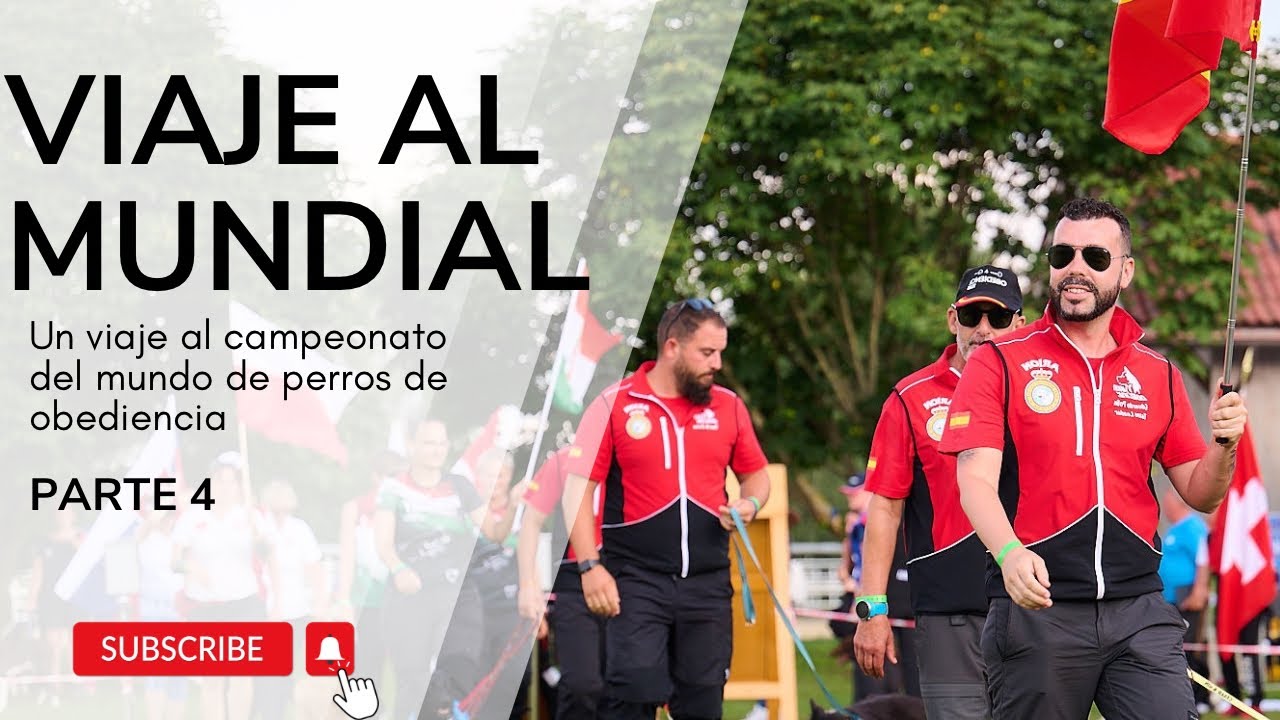 VIAJE AL MUNDIAL - PARTE 4 - primera semifinal (huracán incluido)