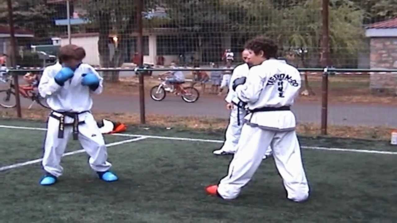 Taekwon-do I.T.F 15th Summer Camp 2011, Sparring Techniques and Sparring, Master Alexandris