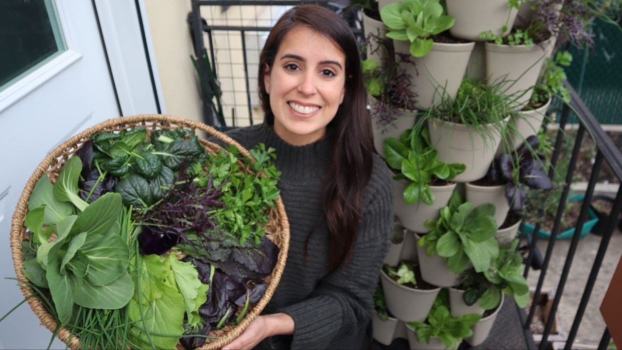 First GreenStalk Harvest 🥬🌿 SPRING 2024