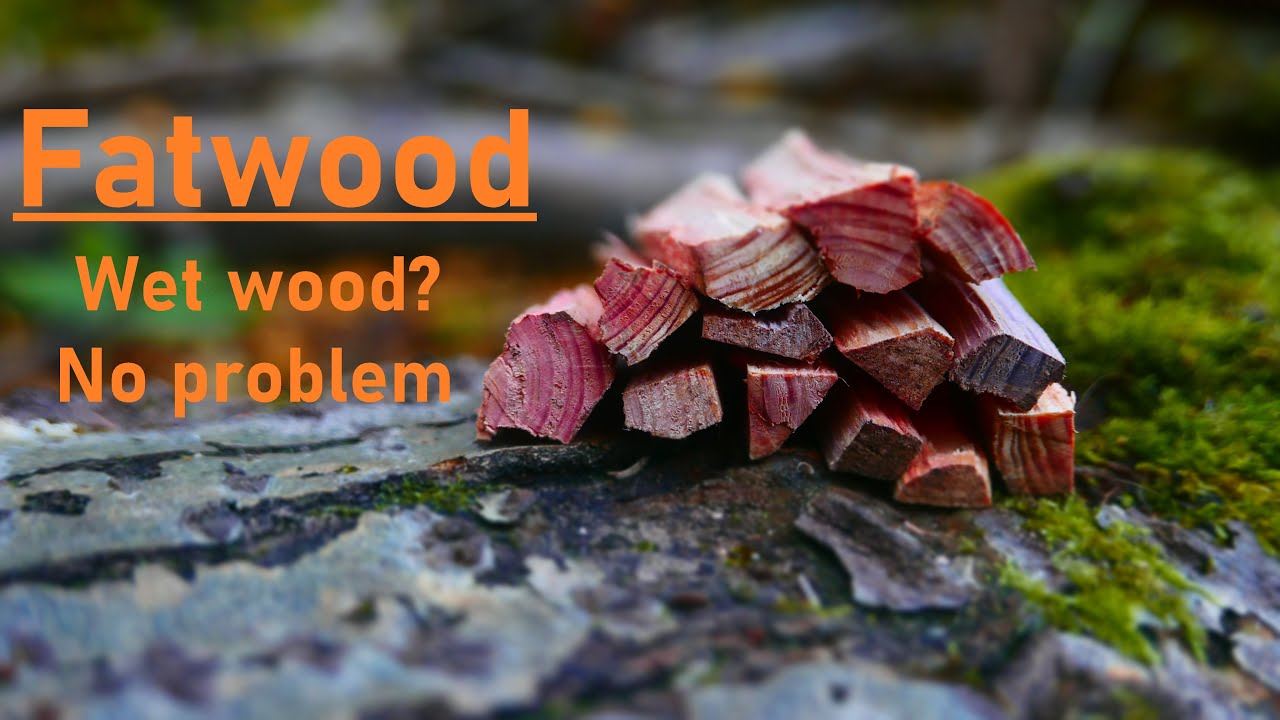 Fatwood (разжигание огня). Мокрая древесина? Нет проблем. [4K]