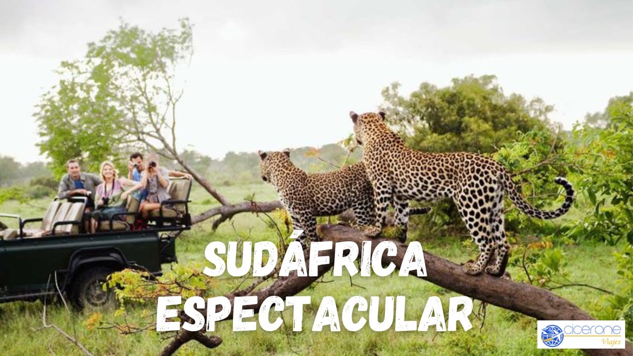 Adelanto de  viaje Sud&aacute;frica setiembre 2023 con Cicerone Viajes