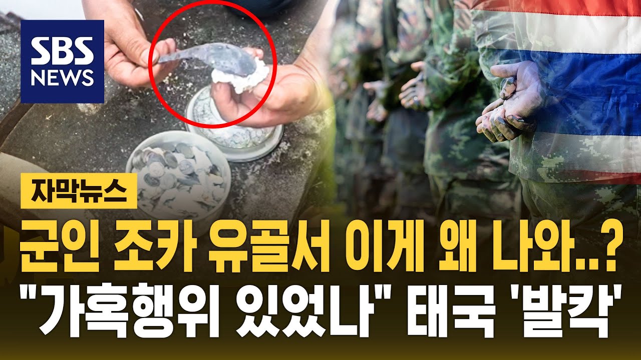 군인 조카 화장했더니 유골서 '숟가락'이…