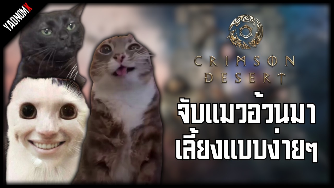 Crimson Desert | Easy way to raise a fat cat.