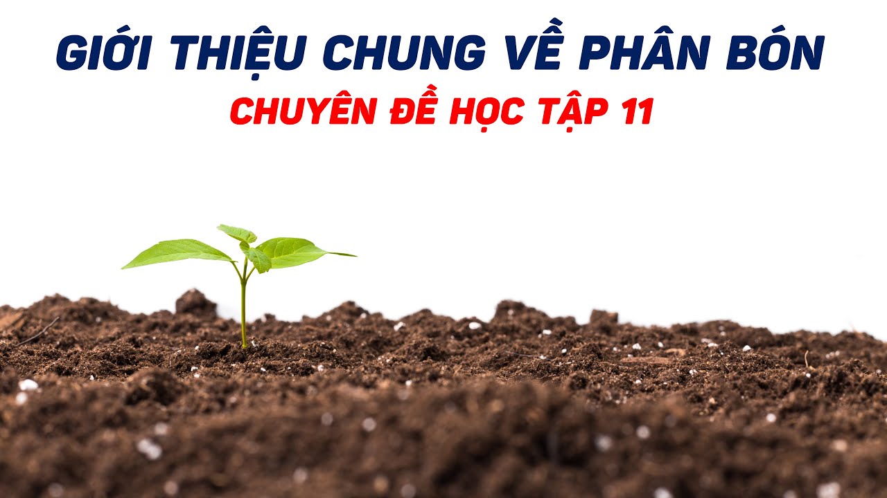 [CHUYÊN ĐỀ HỌC TẬP 11] GIỚI THIỆU CHUNG VỀ PHÂN BÓN