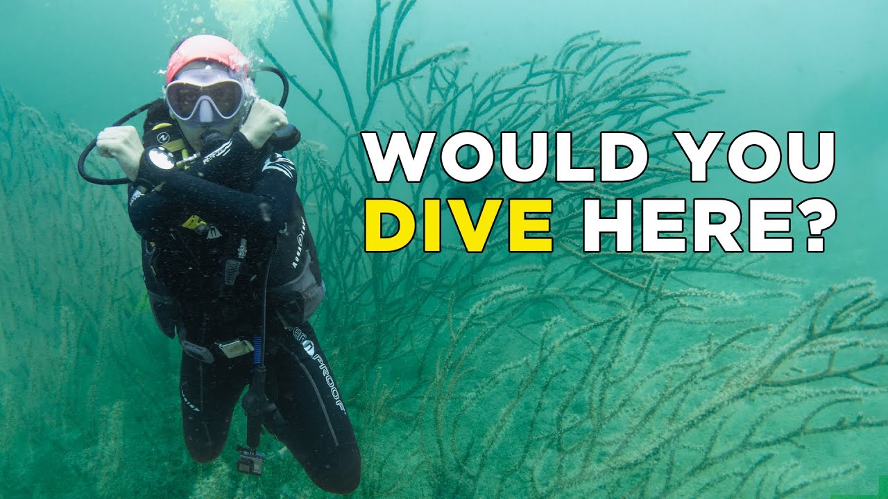 Diving in Langkawi: Is it Worth it? | Malaysia Travel Vlog (EP 6)