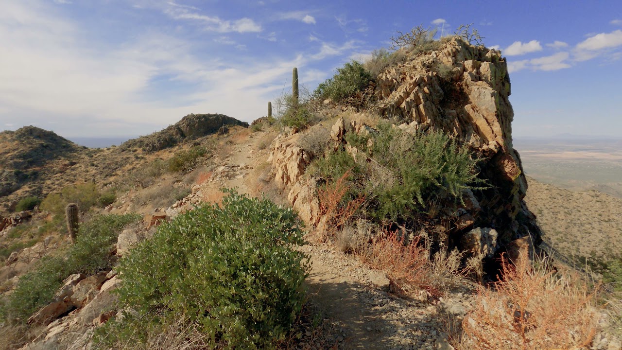 Hike - Wasson Peak (Hugh Norris Trail), Saguaro National Park West, Tucson AZ (4K)