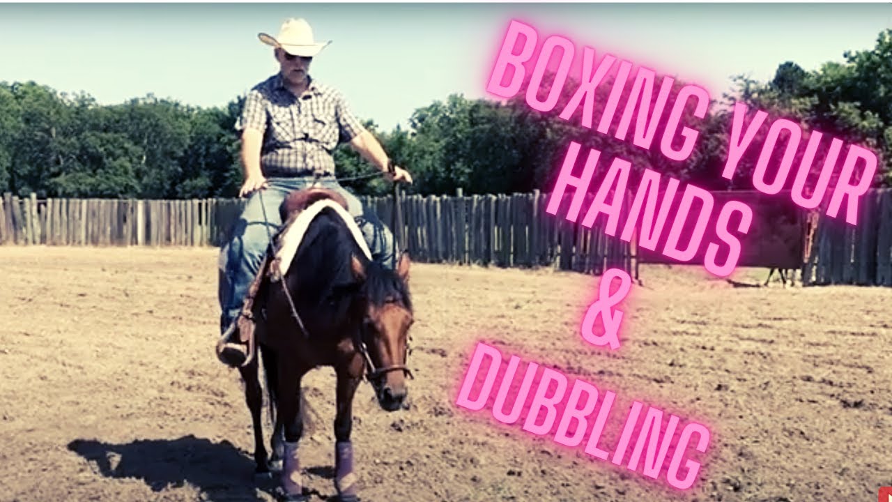 Hand Position using a Sidepull, Hackamore & What's DUBBLING