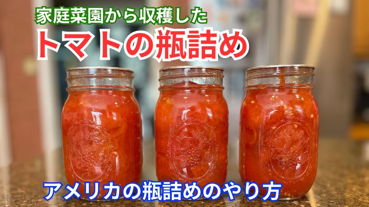 家庭菜園から収穫したトマトの瓶詰め：アメリカで正式に推奨されている瓶詰め方法をご紹介します