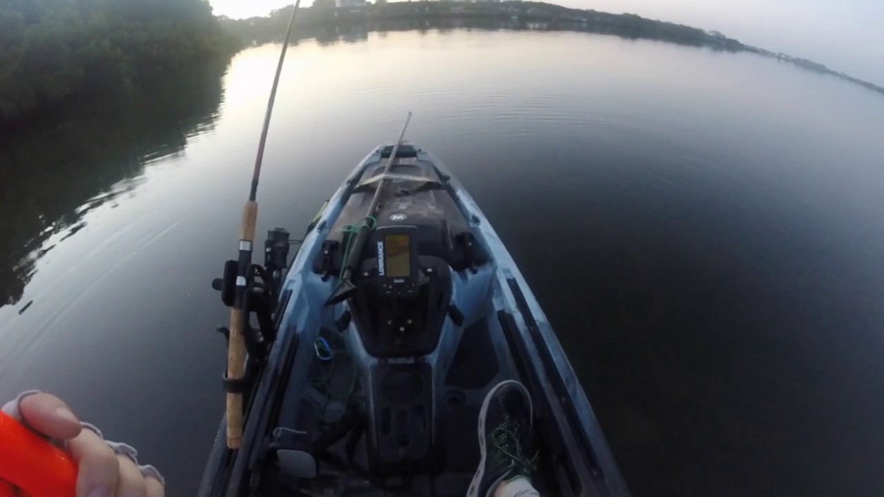 Whopper Plopper Snook strike