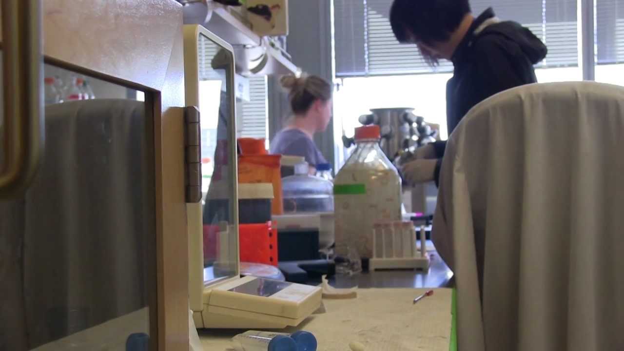 Microryza: Crowdsourcing Science