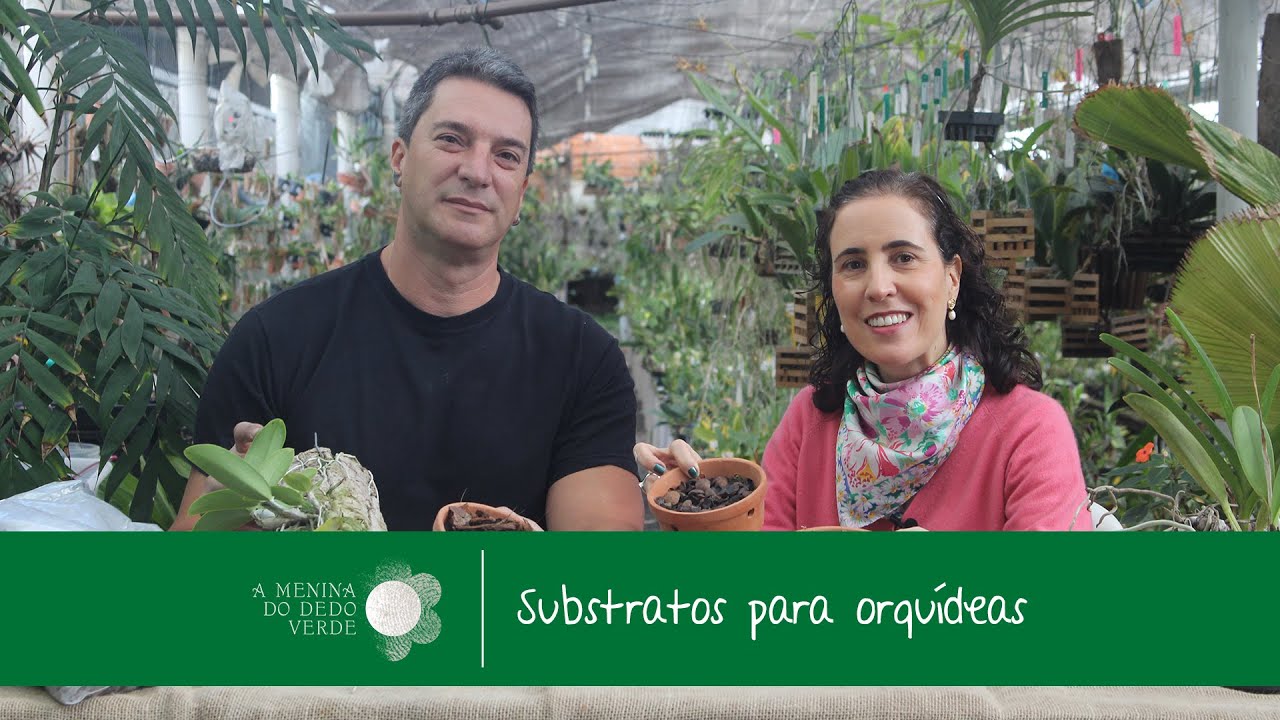 Nô Figueiredo no Orquidário Paulista: Substratos para Orquídeas com Reinaldo Ilaci
