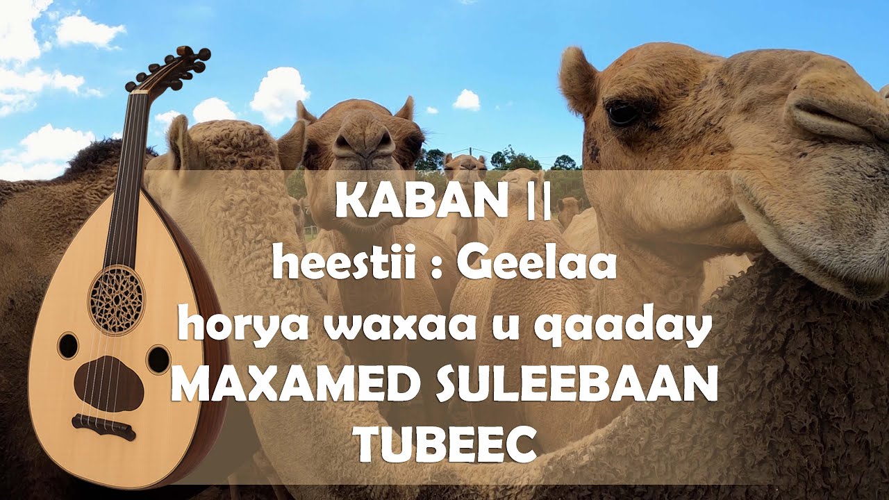 kabanka heestii \\ GEELAA MARKUU DARAANRANYAHAY