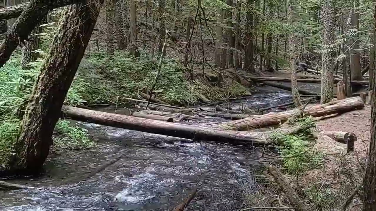 Little ZigZag River - Sept, 2023