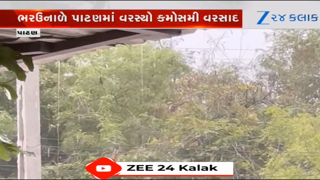 Gujarat: Patan sees sudden change in weather as the district experiences unseasonal rain showers
