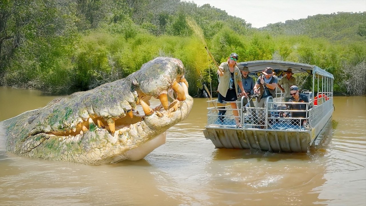 Maiores Animais Já Capturados Pela Câmera