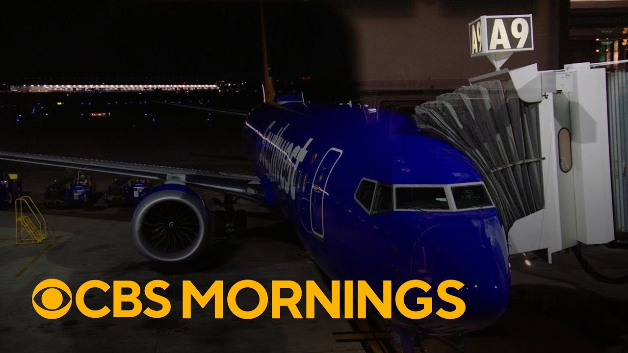 What a day in the life of a plane looks like