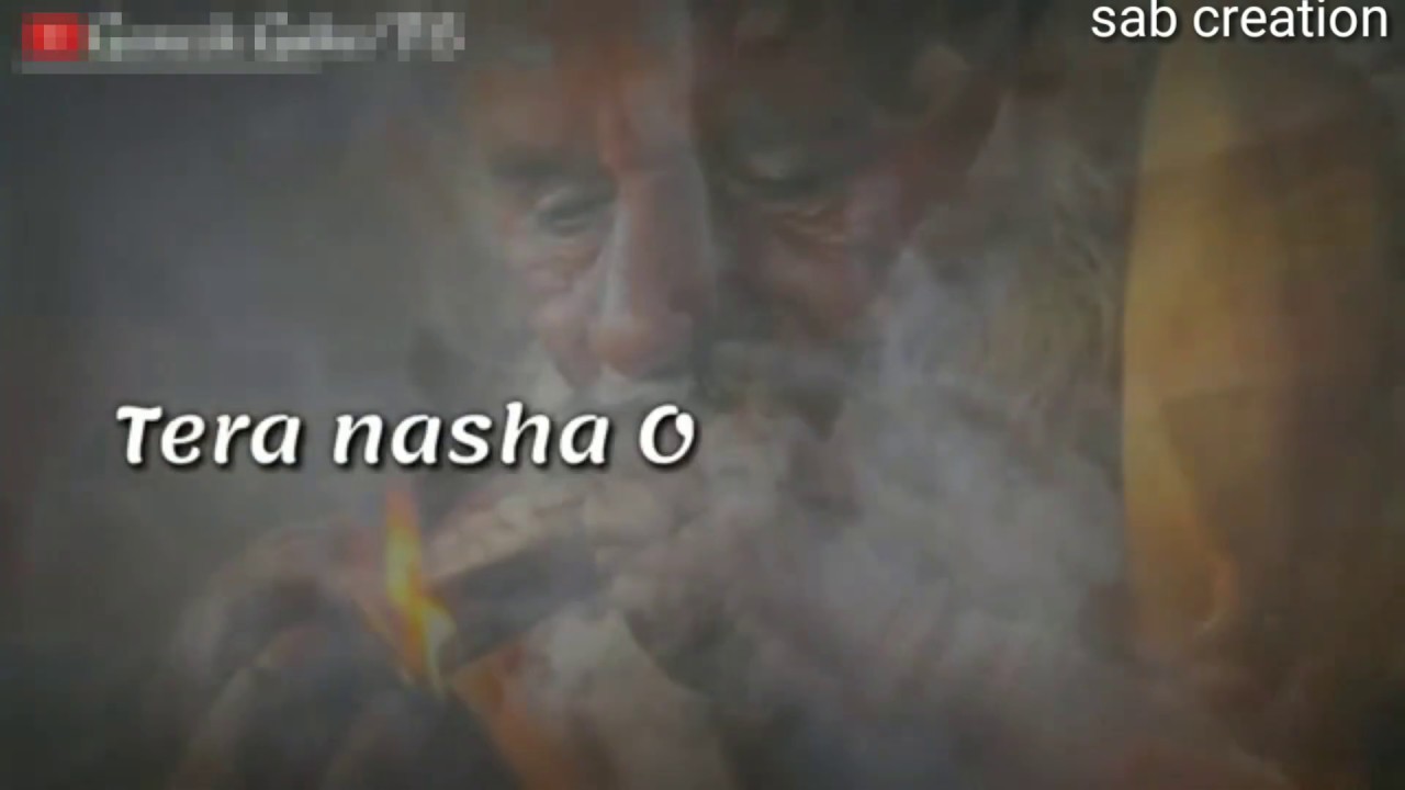 Best Mahashivratri Status 2019 || Shivratri Special Status || New Maha Shivratri Status   Part8