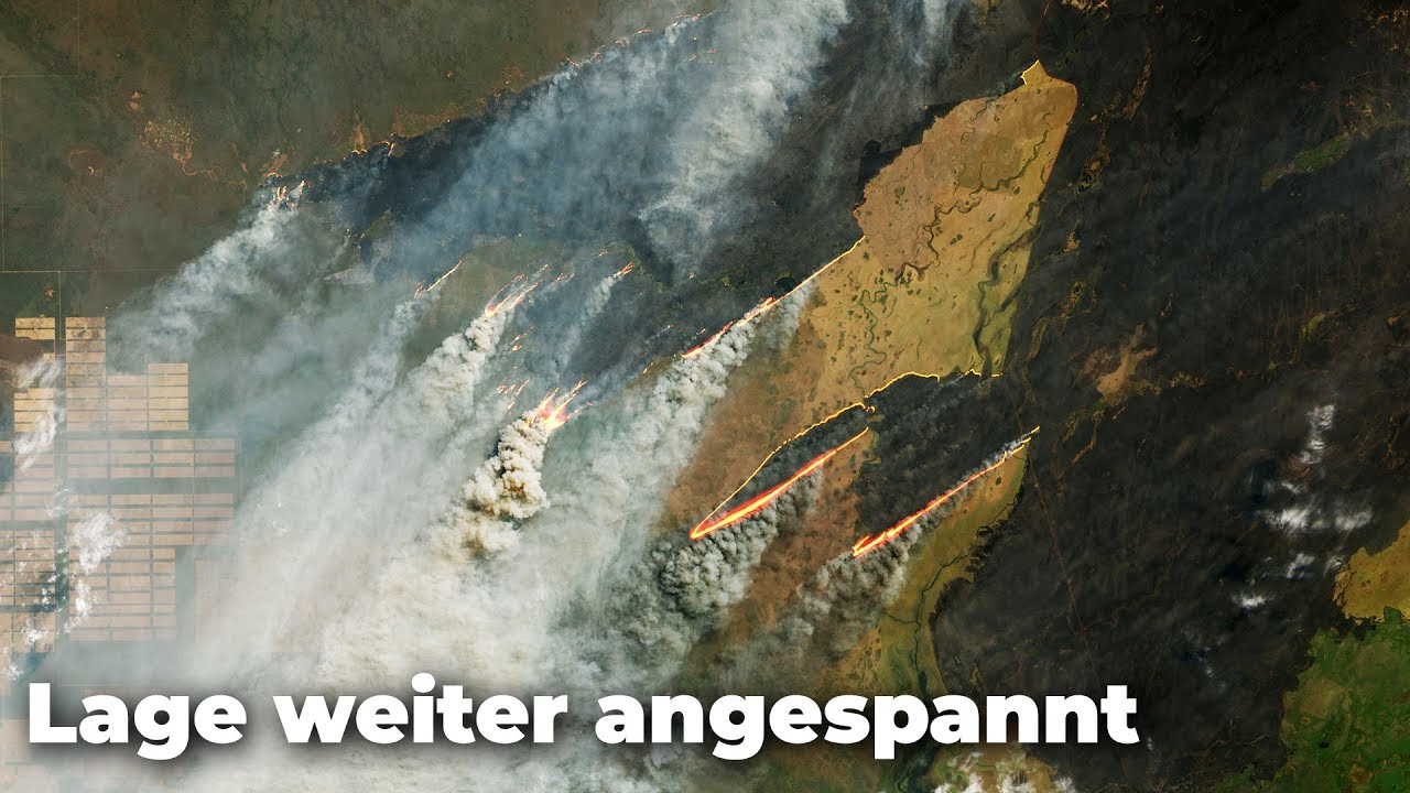 Amazonas brennt weiter - Update zur Katastrophe im Regenwald - Clixoom nature