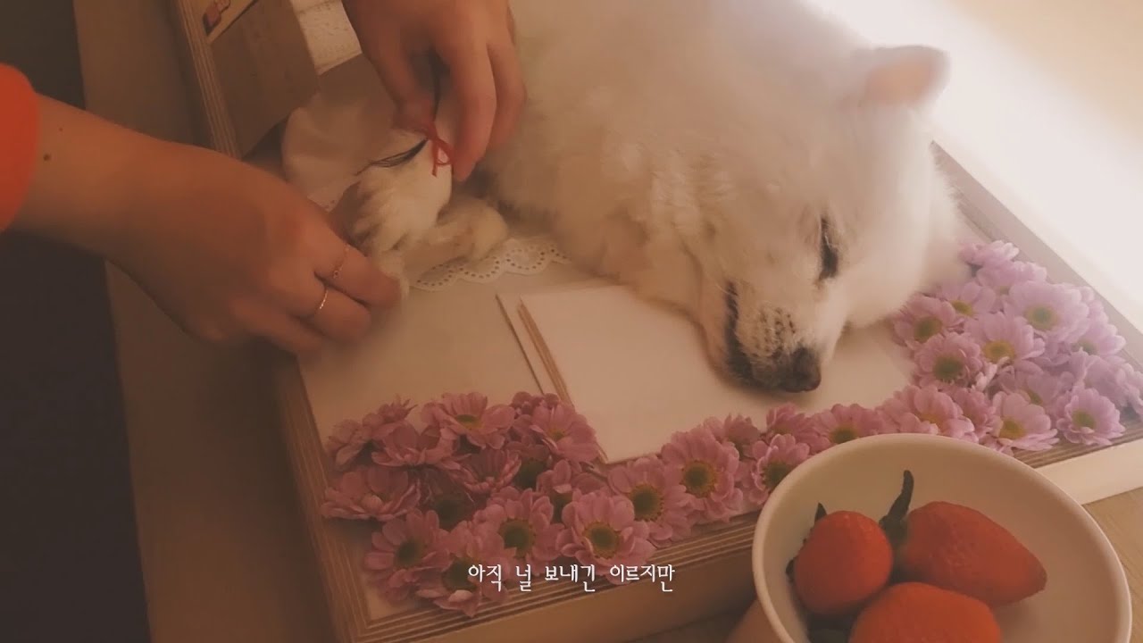 빨간의자-무지개를 띄워