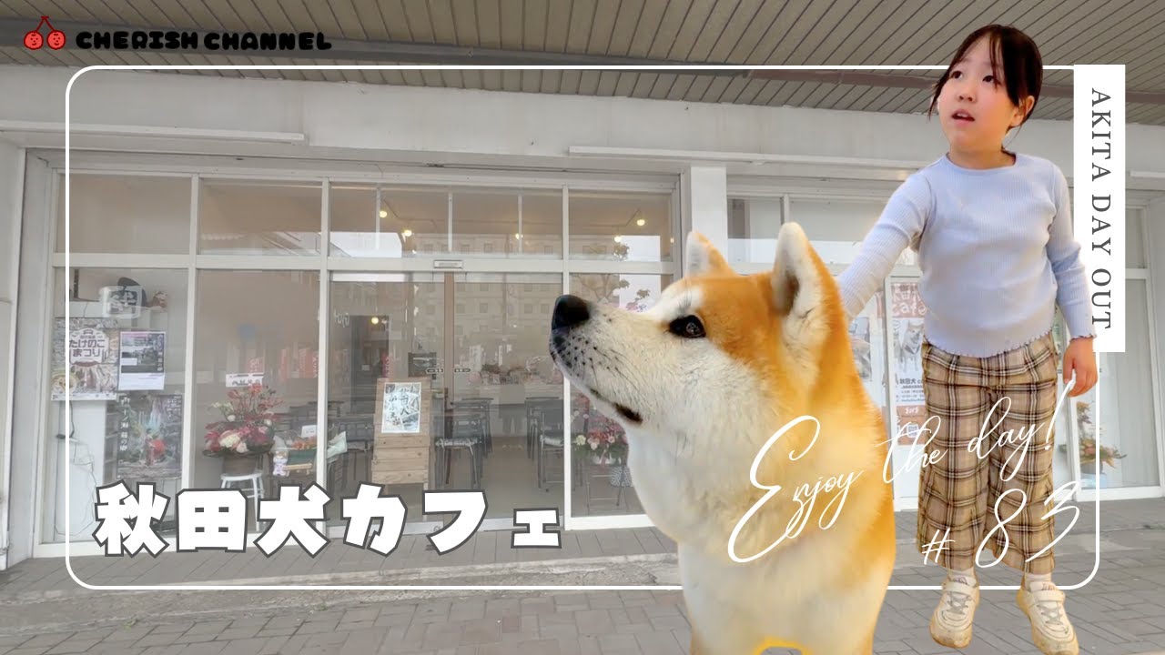 【秋田・大館】秋田犬カフェ🐾子どもも喜ぶ❤️ふわもふ体験！本物の秋田犬に癒されよう🎵