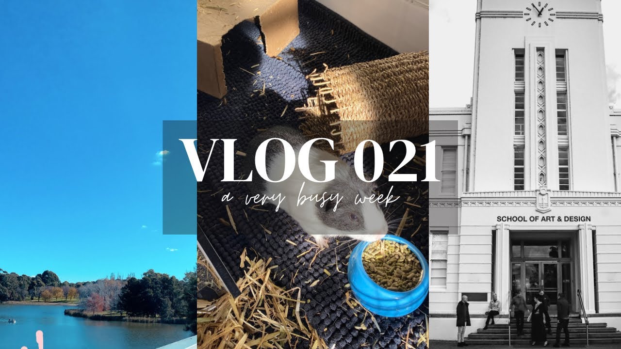 Weekly Vlog 21 | A very busy few weeks