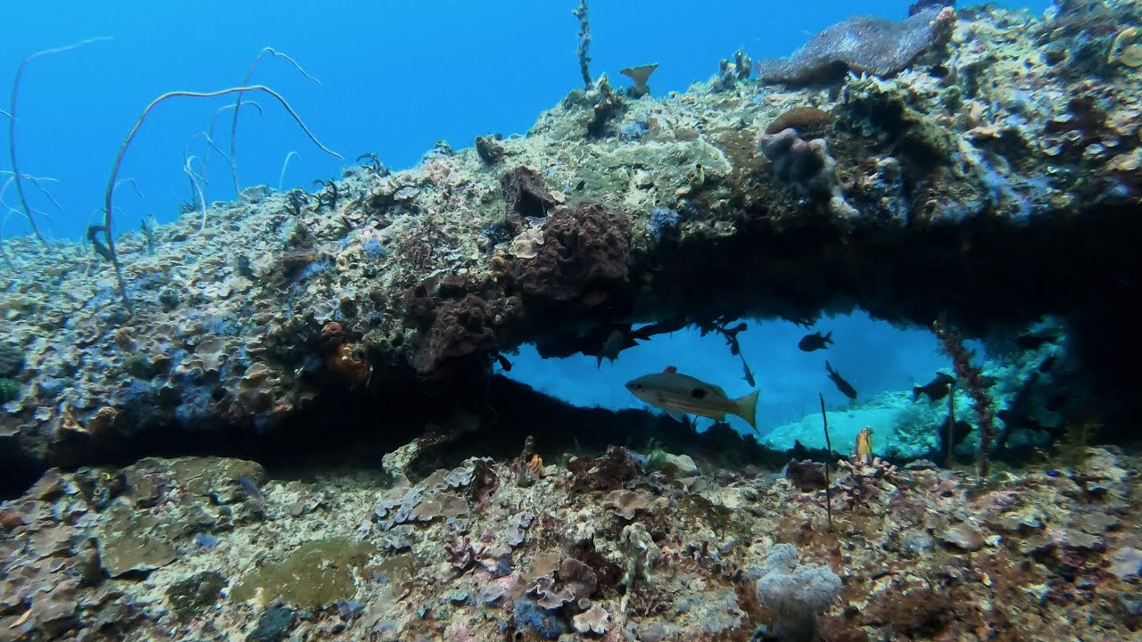 Indonesia - RAJA AMPAT snorkeling Friwen wall PART 2