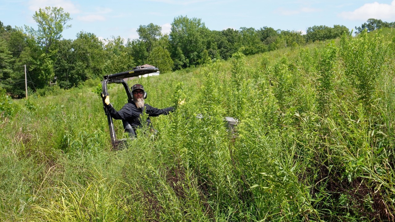 Going to BATTLE with the MOST Invasive Weed in Mowssouri!