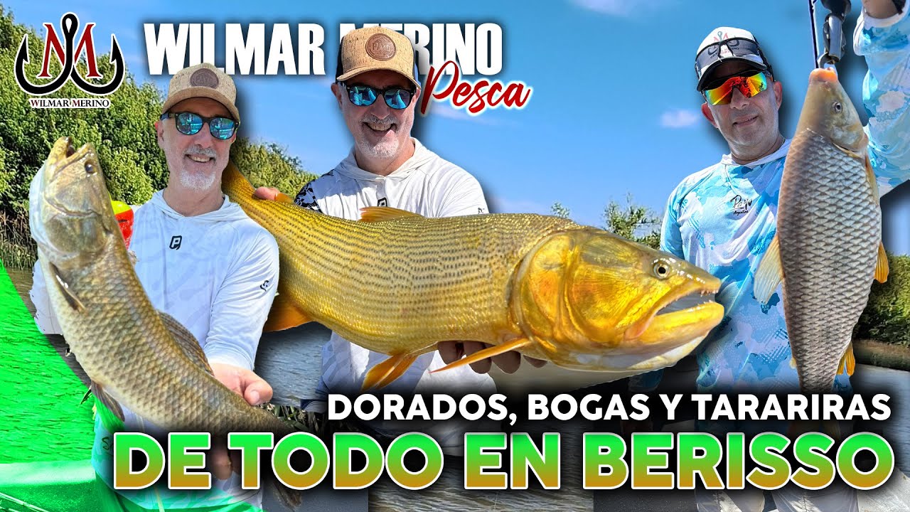 Pesca en Berisso: Dorados con Se&ntilde;uelos, Bogas y Tarariras en los Canales del Puerto