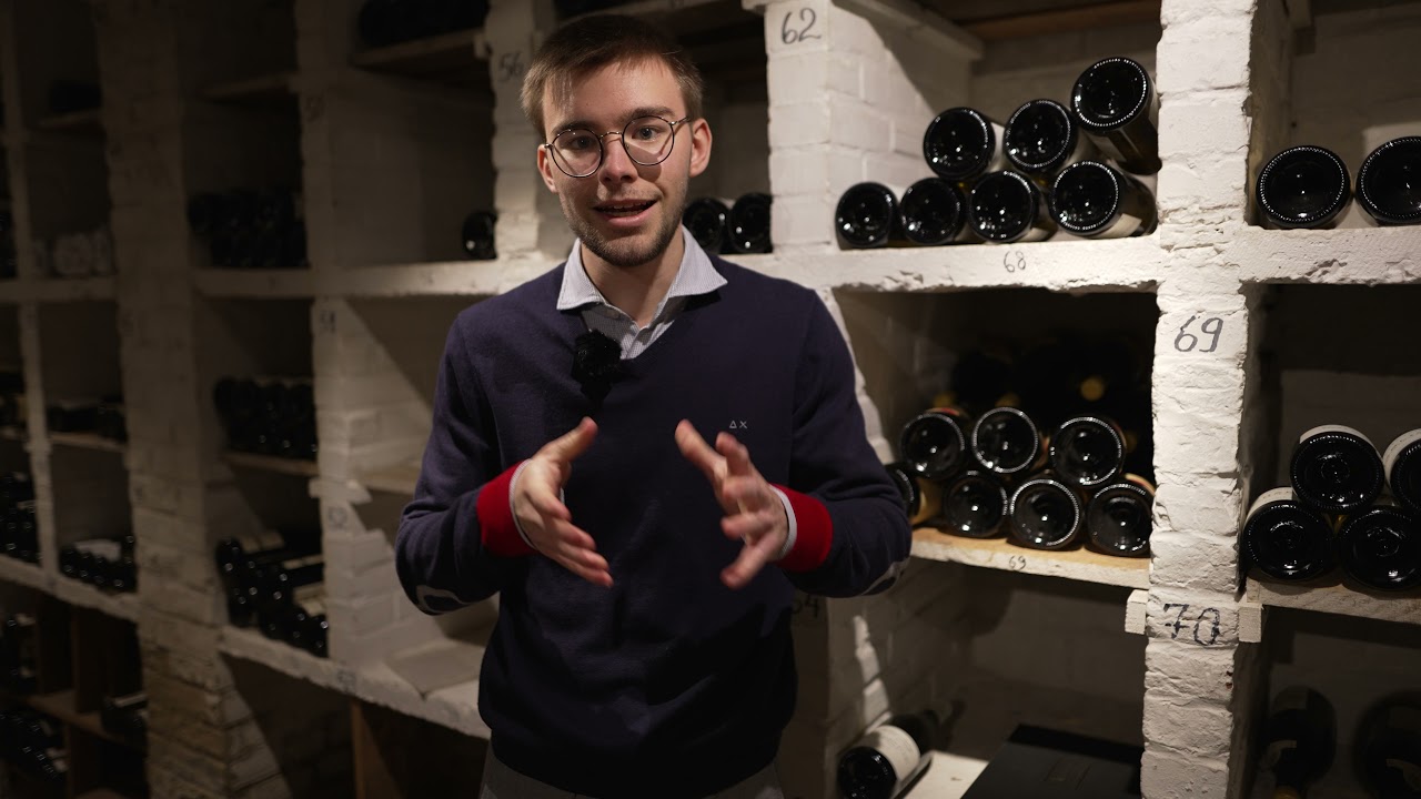 Vins bio, bio-dynamiques et natures