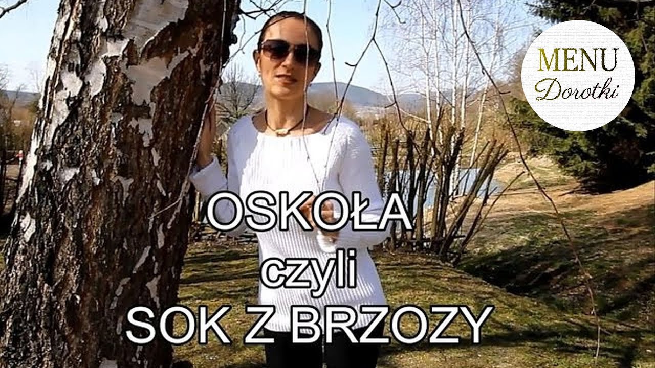 Sok z brzozy. Oskoła. Bzowina. Jak i gdzie zbierać oraz dlaczego warto go pić. MENU Dorotki.