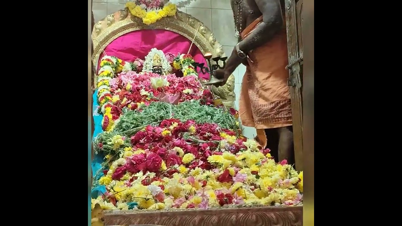 அருள்மிகு ஸ்ரீ அக்களூர் மாணிக்க நாச்சியார் அம்மன் ஆலய மூன்றாவது ஆண்டு புஷ்பாஞ்சலி விழா
