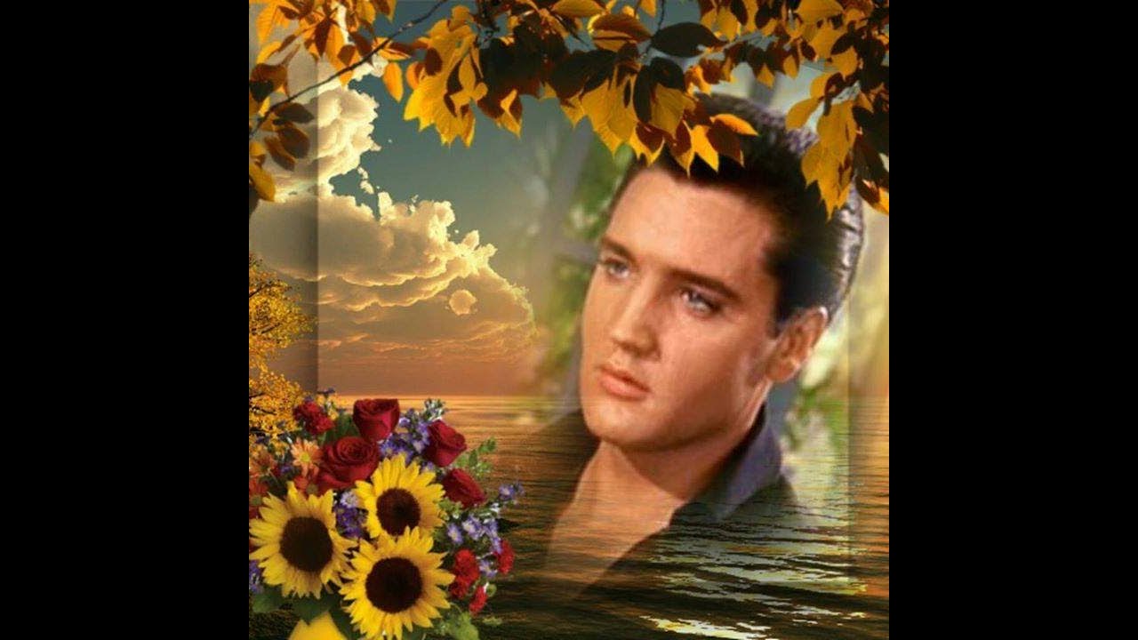 Elvis 