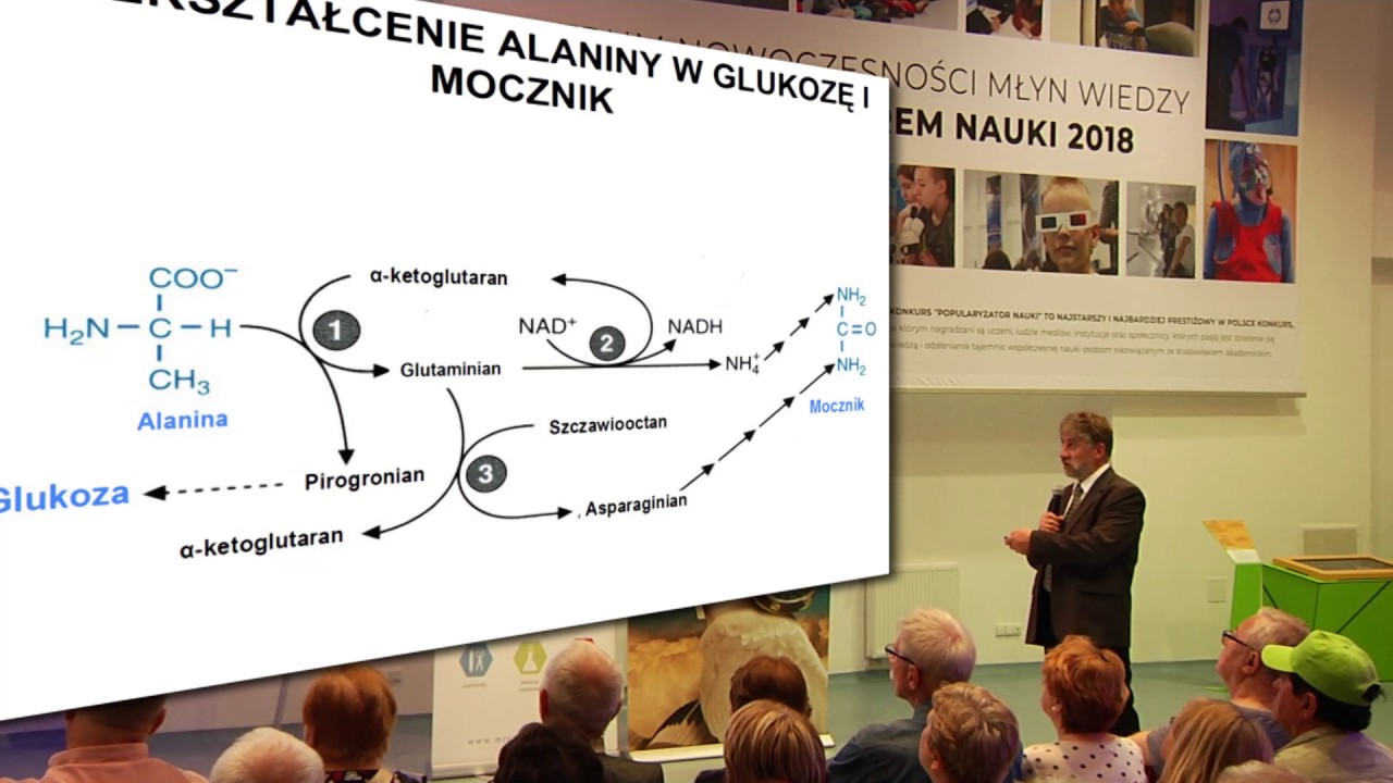 Cukrzyca – fakty i mity przez pryzmat procesów metabolicznych