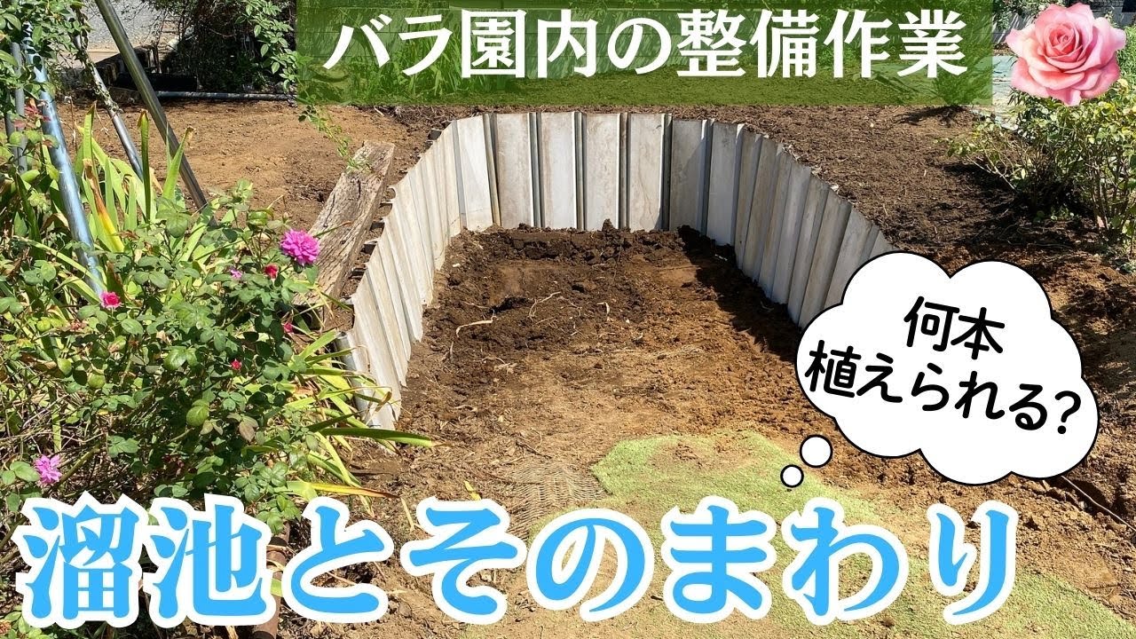 園内整備作業ｰ溜池とそのまわり　【2025年8月末撮影】