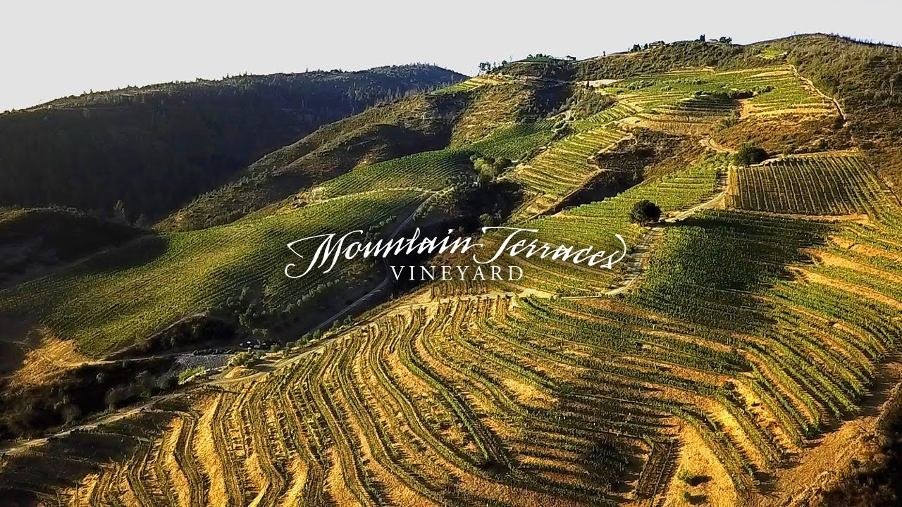 Mountain Terraces Winery & Vineyard