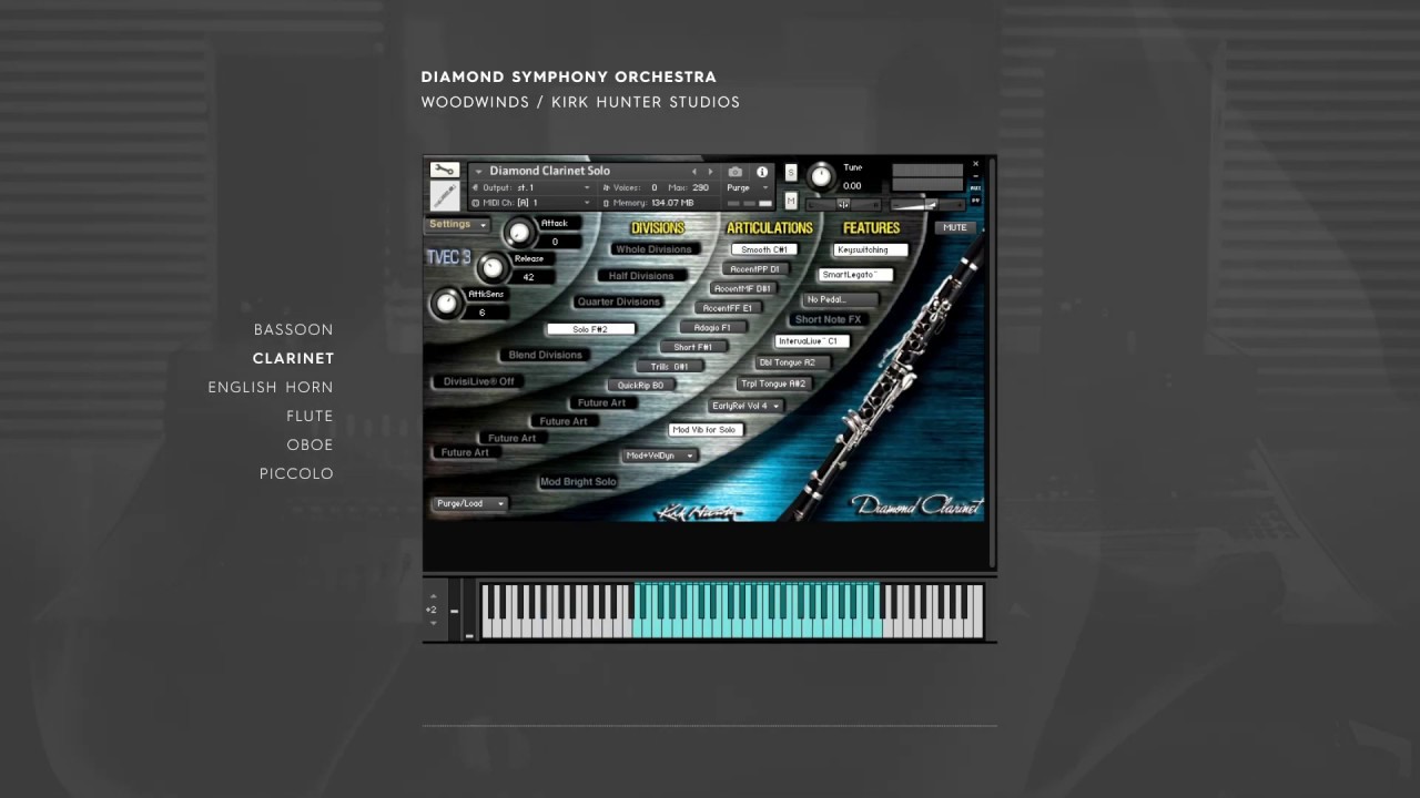 Diamond Symphony Orchestra Woodwinds by Kirk Hunter Studios / Virtual Instruments Sample Library