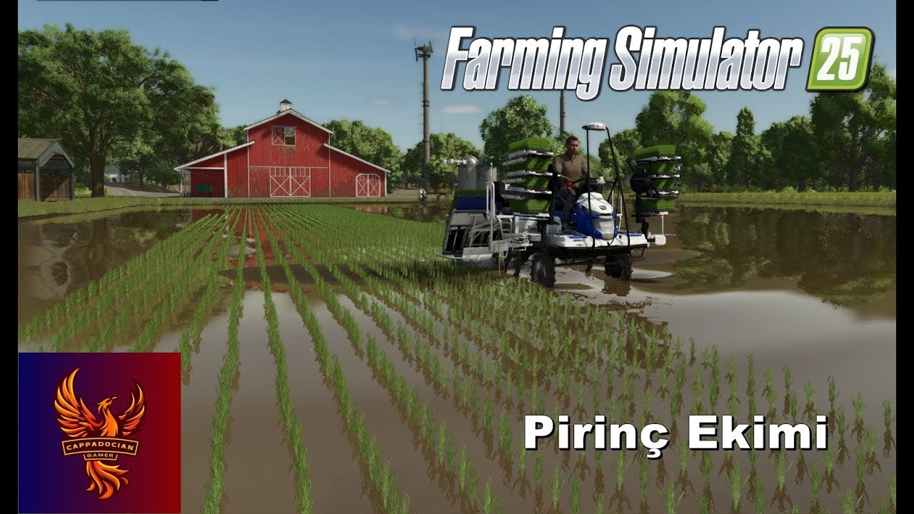 PİRİNÇ I Farming Simulator 2025  #3