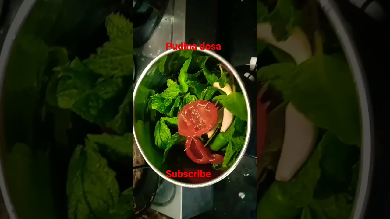Mint Dosa / pudina dosa / Dosa variety  #shorts #cooking #dosa