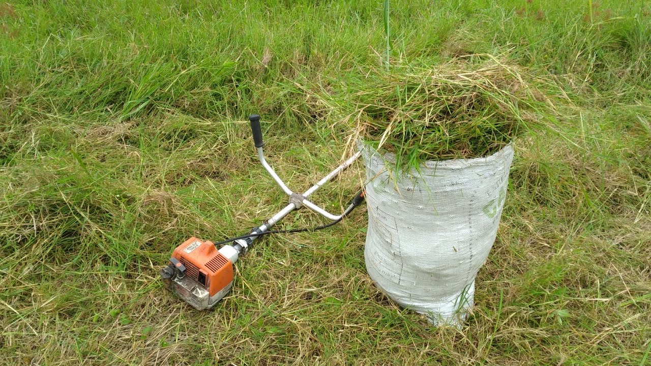 roçadeira STIHL FS 160 tirando capim estrela pra servir aos cavalos 🐎 🐎