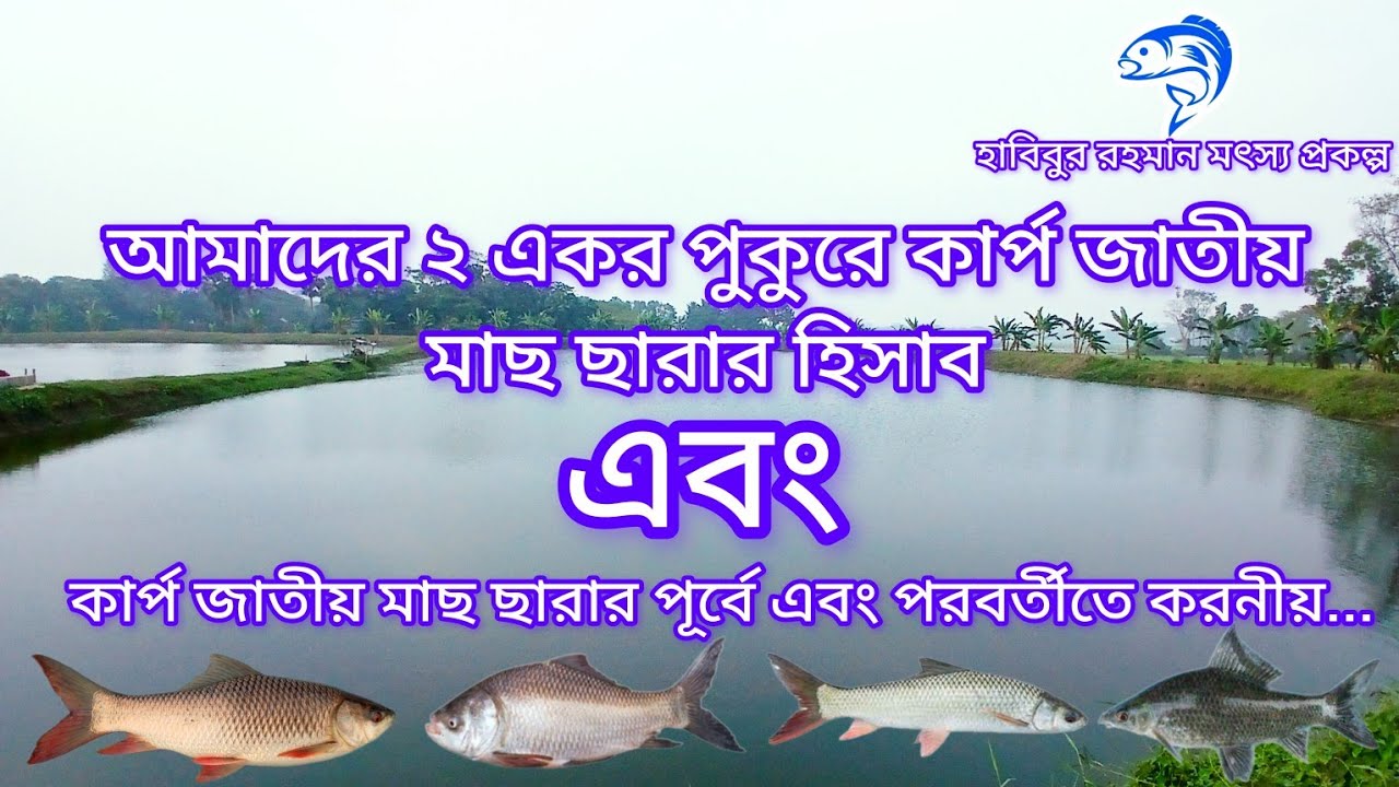 ২৫৪..দুই একর পুকুরে কার্প জাতীয় মাছের পোনা  মজুদের হিসাব।