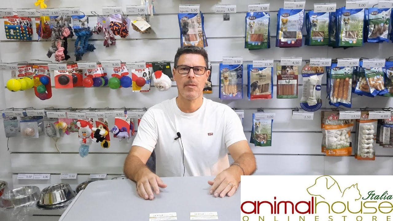 Quanto Deve Mangiare il Tuo Gatto? Guida Completa all'Alimentazione!