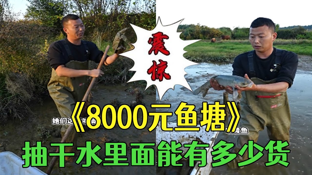 花8000塊包下壹口魚塘，抽幹水裏面能有多少貨？#小飛哥 #戶外 #包塘 #鄉村生活