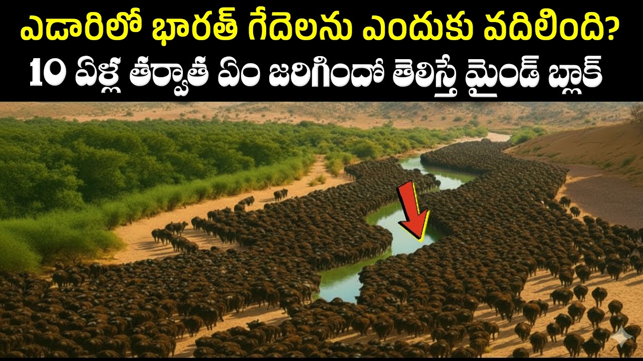 ఎడారిలో భారత్ గేదెలను ఎందుకు వదిలింది? 10 ఏళ్ల తర్వాత ఏం జరిగిందో తెలిస్తే మైండ్ బ్లాక్! | BS FACTS