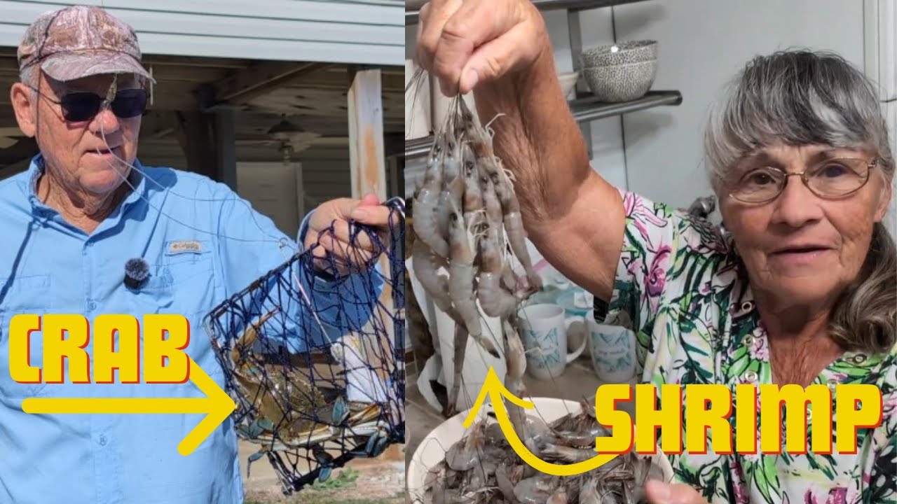 Shrimp and Blue Crabs, Catching Them
